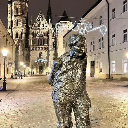 Cozy Medieval Nest *